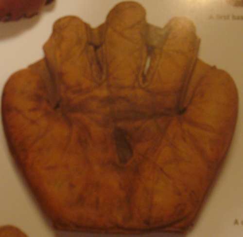 Ambidextrous Glove Front